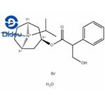 Ipratropium bromide monohydrate