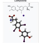 6893-02-3 T3；Liothyronine Sodium