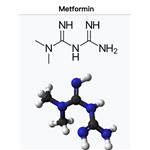 657-24-9 metformin
