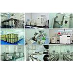 Scopolamine Butylbromide