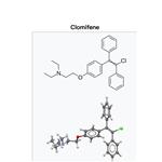 Clomifene citrate ；Clomid ；CLO；Clomiphene)