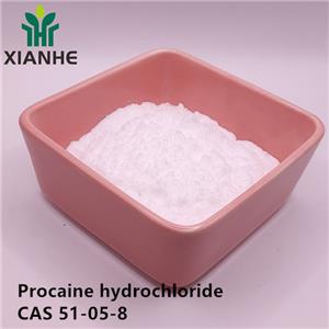 Procaine hydrochloride