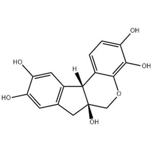 Hematoxylin