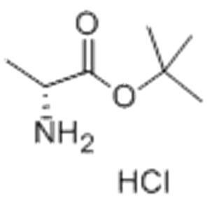 D-Alanine tert-butyl ester hydrochloride