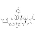 1-[(4R,5R)-4,5-Dihydroxy-L-ornithine]echinocandin B hydrochloride (1:1)