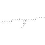 Glycerophospholipids, cephalins pictures
