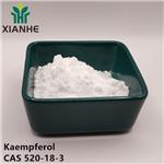 Kaempferol