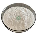 Dehydroepiandrosterone /DHEA