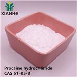 Procaine hydrochloride
