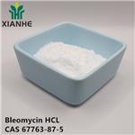 Bleomycin HCL