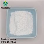 Testosterone suspension no ester coarse/ micro
