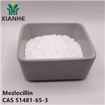 Mezlocillin