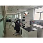 Ethylenglycol-mono-tert-butyl ether
