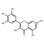 529-44-2 Myricetin