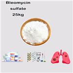 Bleomycin sulfate