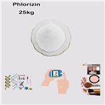 Phlorizin