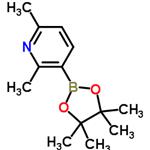 2,6-Dimethyl-3-(4,4,5,5-tetramethyl-1,3,2-dioxaborolan-2-yl)pyridine