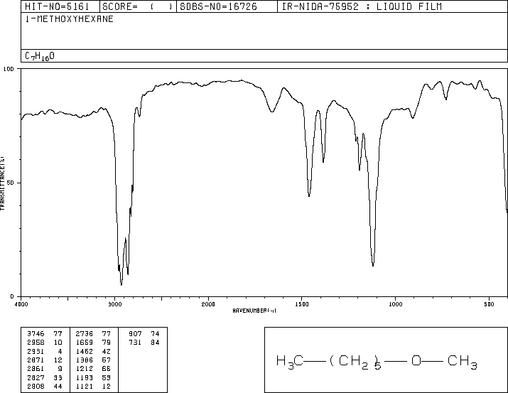 N-HEXYL METHYL ETHER(4747-07-3) <sup>1</sup>H NMR