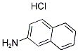 2-AMINONAPHTHALENE HYDROCHLORIDE