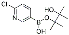 2-Chloropyridin-5-ylboronic acid, pinacol ester Struktur