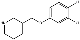 3-[(3,4-DICHLOROPHENOXY)METHYL]PIPERIDINE Struktur