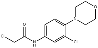 2-CHLORO-N-(3-CHLORO-4-MORPHOLIN-4-YL-PHENYL)-ACETAMIDE price.