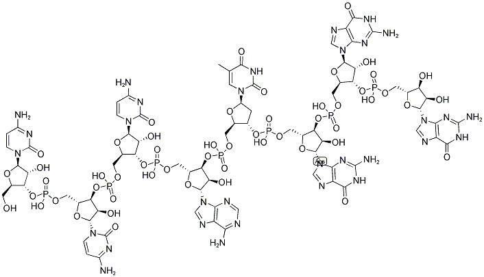 CCCATGGG, 5'-NON-PHOSPHORYLATED