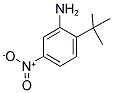 2-TERT-BUTYL-5-NITROANILINE Struktur