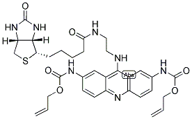  化學(xué)構(gòu)造式