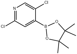 2,5-DICHLORO-4-(4,4,5,5-TETRAMETHYL-[1,3,2]-DIOXABOROLAN-2-YL)PYRIDINE price.