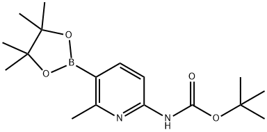 6-TERT-BUTYLOXYCARBONYLAMINO-2-METHYLPYRIDINE-3-BORONIC ACID PINACOL ESTER Structure