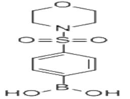 4-(嗎啉磺?；?苯硼酸