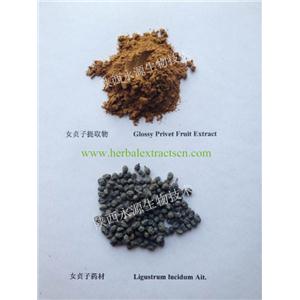 女貞子提取物  Fructus Ligustri Lucidi Extract 滋補肝腎，明目烏發(fā)  陜西永源生物