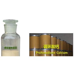 調(diào)環(huán)酸鈣