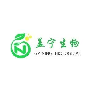 大鼠心臟微血管內皮細胞