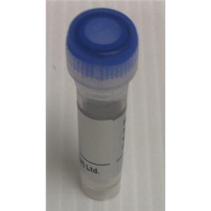 (2R)-2-amino-3-(dimethylamino)propanoic acid