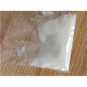 肌酐