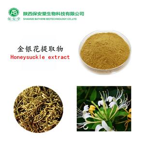 現(xiàn)貨供應(yīng)定制多規(guī)格金銀花提取物金銀花粉綠原酸