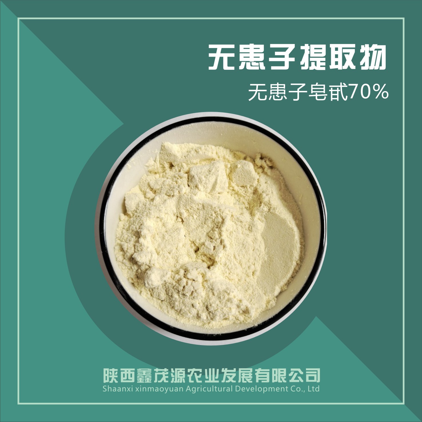無(wú)患子提取物