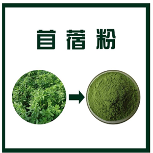 苜蓿粉