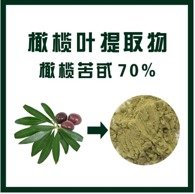 橄欖葉提取物