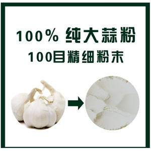 大蒜粉