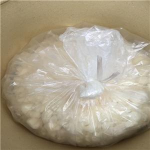 多庫酯鈉 磺化琥珀酸二辛酯鈉鹽