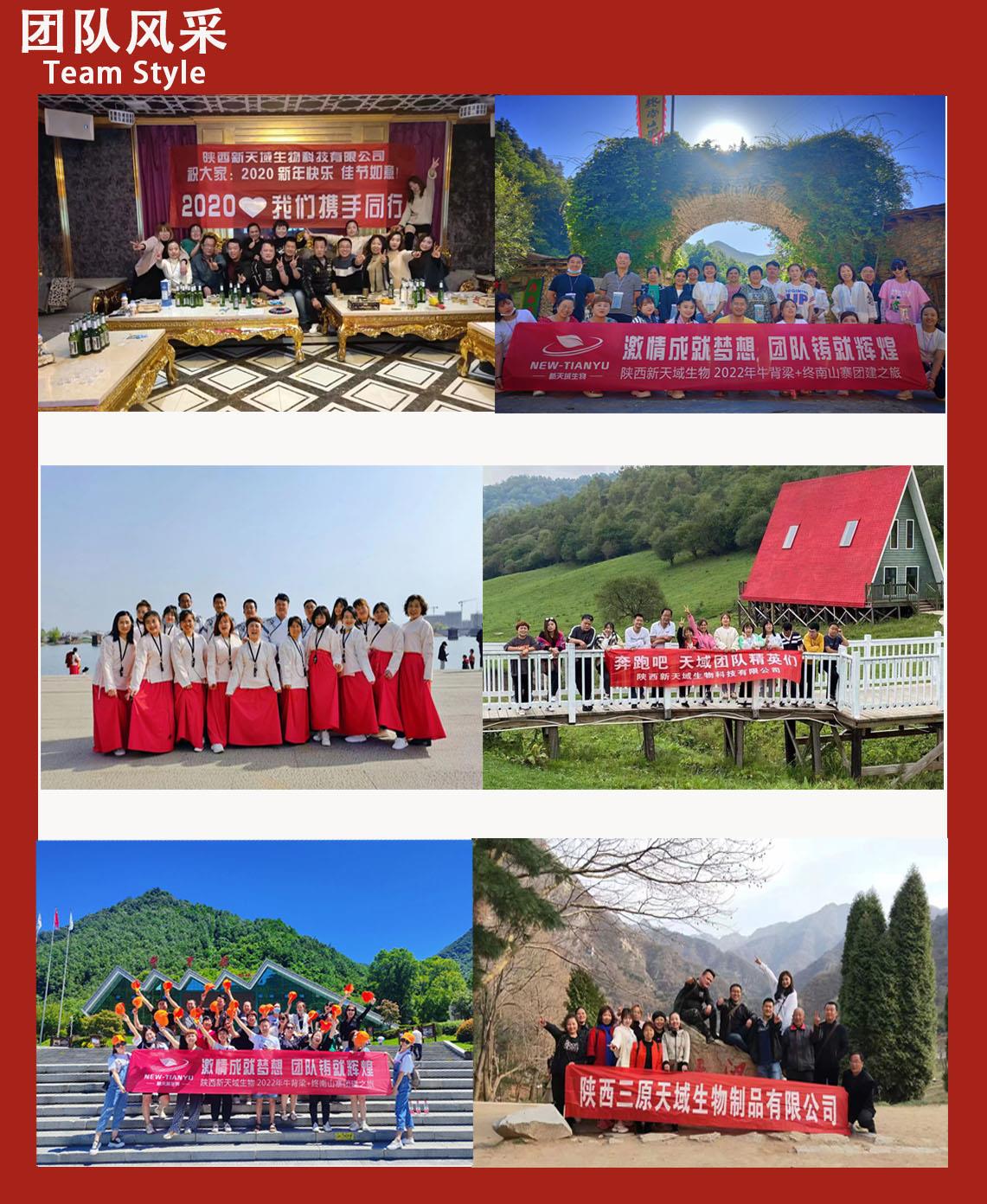 團隊風采7.jpg