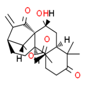 藍萼乙素，98%