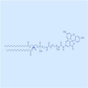 二硬脂?；字Ｒ掖及?聚乙二醇-熒光素