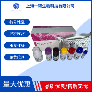 大鼠反三碘甲狀腺原氨酸ELISA試劑盒