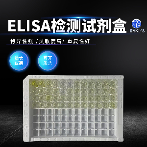 斑點叉尾鮰病毒（CCV）核酸檢測試劑盒