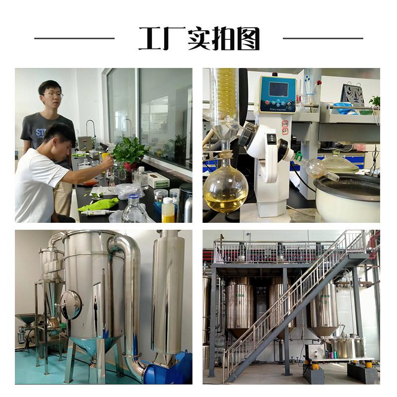 工廠圖.jpg