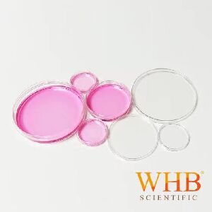 TC處理透明100mm細(xì)胞培養(yǎng)皿，易握邊，滅菌|100mm|臥宏/WHB